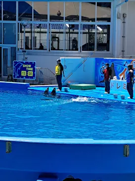 のとじま水族館に投稿された画像（2026/5/6）