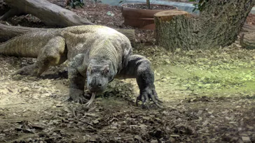名古屋市東山動植物園に投稿された画像（2026/5/6）