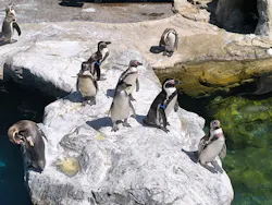 アクアワールド茨城県大洗水族館に投稿された画像（2026/5/6）
