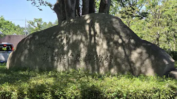 ミュージアムパーク茨城県自然博物館に投稿された画像（2026/5/6）