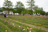 滋賀農業公園ブルーメの丘に投稿された画像（2026/5/6）
