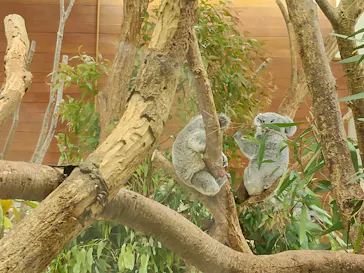 こども動物自然公園（埼玉県公園緑地協会）に投稿された画像（2026/5/6）