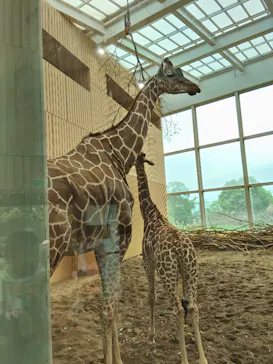 こども動物自然公園（埼玉県公園緑地協会）に投稿された画像（2026/5/6）