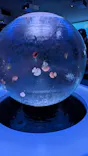 新江ノ島水族館に投稿された画像（2026/5/6）