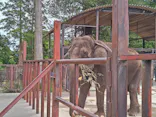 ANIMAL WONDER REZOURT 市原ぞうの国・サユリワールドに投稿された画像（2026/5/6）