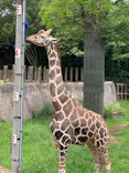 千葉市動物公園に投稿された画像（2026/5/6）