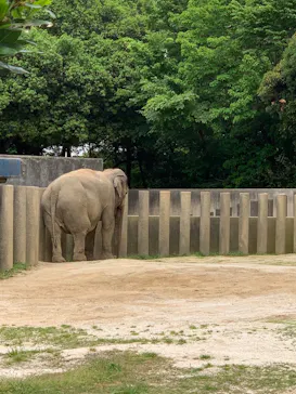 千葉市動物公園に投稿された画像（2026/5/6）