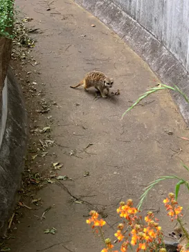 千葉市動物公園に投稿された画像（2026/5/6）