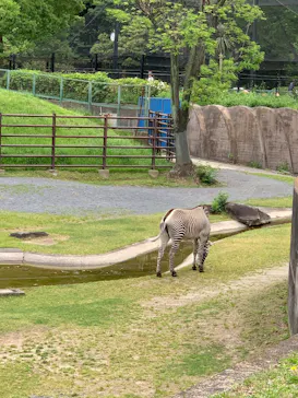 千葉市動物公園に投稿された画像（2026/5/6）