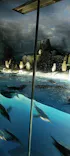 名古屋港水族館に投稿された画像（2026/5/6）