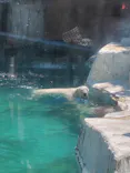 天王寺動物園に投稿された画像（2026/5/6）