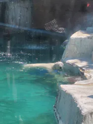 天王寺動物園に投稿された画像（2026/5/6）