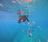 MalDive（モルダイブ）に投稿された画像（2026/5/6）