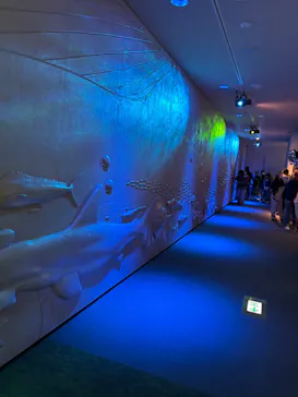 島根県立 しまね海洋館に投稿された画像（2026/5/6）