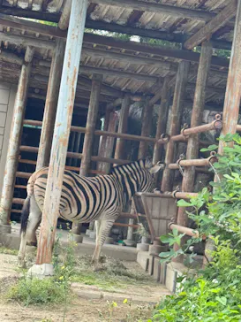 名古屋市東山動植物園に投稿された画像（2026/5/6）