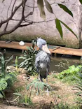那須どうぶつ王国に投稿された画像（2026/5/6）