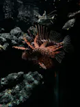 名古屋港水族館に投稿された画像（2026/5/6）