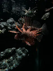名古屋港水族館に投稿された画像（2026/5/6）