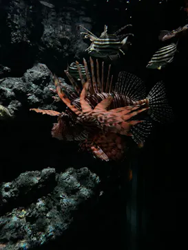 名古屋港水族館に投稿された画像（2026/5/6）