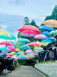 加賀 伝統工芸村　ゆのくにの森に投稿された画像（2026/5/6）