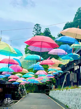 加賀 伝統工芸村　ゆのくにの森に投稿された画像（2026/5/6）
