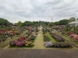 京成バラ園に投稿された画像（2026/5/6）