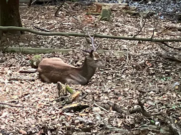 こども動物自然公園（埼玉県公園緑地協会）に投稿された画像（2026/5/6）