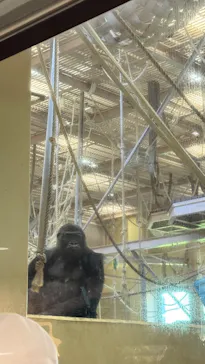 名古屋市東山動植物園に投稿された画像（2026/5/6）