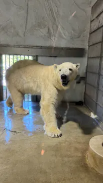 名古屋市東山動植物園に投稿された画像（2026/5/6）