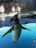 名古屋港水族館に投稿された画像（2026/5/6）