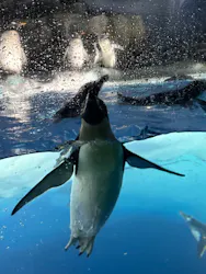 名古屋港水族館に投稿された画像（2026/5/6）