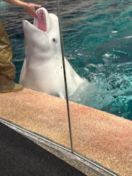 名古屋港水族館に投稿された画像（2026/5/6）