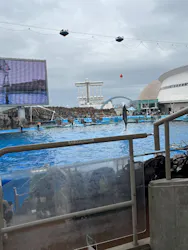 名古屋港水族館に投稿された画像（2026/5/6）