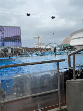 名古屋港水族館に投稿された画像（2026/5/6）