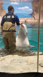 名古屋港水族館に投稿された画像（2026/5/6）