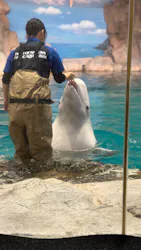 名古屋港水族館に投稿された画像（2026/5/6）