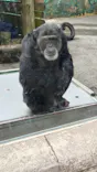 伊豆シャボテン動物公園に投稿された画像（2026/5/6）