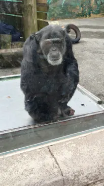 伊豆シャボテン動物公園に投稿された画像（2026/5/6）