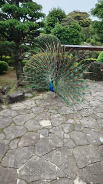伊豆シャボテン動物公園に投稿された画像（2026/5/6）
