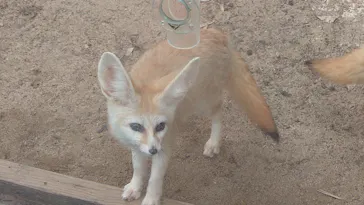 伊豆シャボテン動物公園に投稿された画像（2026/5/6）