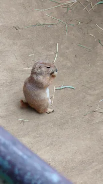 伊豆シャボテン動物公園に投稿された画像（2026/5/6）