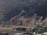 多摩動物公園に投稿された画像（2026/5/6）