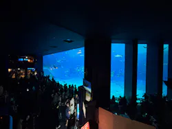 沖縄美ら海水族館に投稿された画像（2026/5/6）