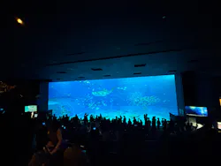 沖縄美ら海水族館に投稿された画像（2026/5/6）