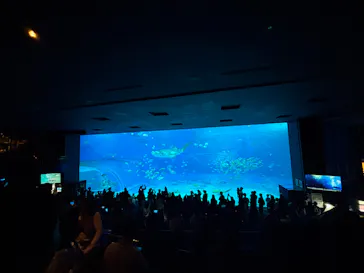 沖縄美ら海水族館に投稿された画像（2026/5/6）