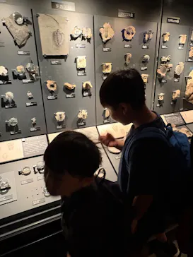 特別展「超危険生物展　科学で挑む生き物の本気」に投稿された画像（2026/5/6）