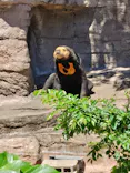 天王寺動物園に投稿された画像（2026/5/6）
