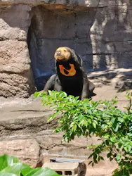 天王寺動物園に投稿された画像（2026/5/6）