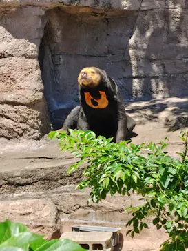 天王寺動物園に投稿された画像（2026/5/6）