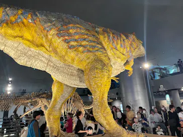 福井県立恐竜博物館に投稿された画像（2026/5/6）